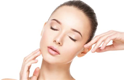 Anatomy of Face Skin – The Beer Beauty