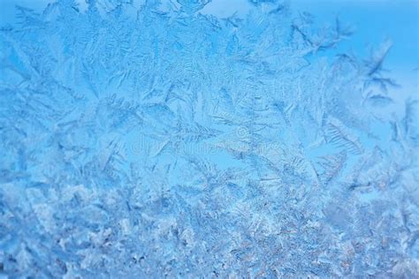 Image result for Foxen Computer Screen From Cold