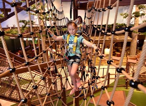 GREAT WOLF LODGE - MINNEAPOLIS / BLOOMINGTON, MN - Hotel Reviews ...