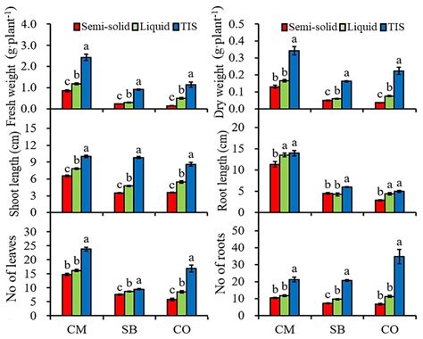 Temporary Immersion Bioreactor System as an Efficient Method for Mass ...
