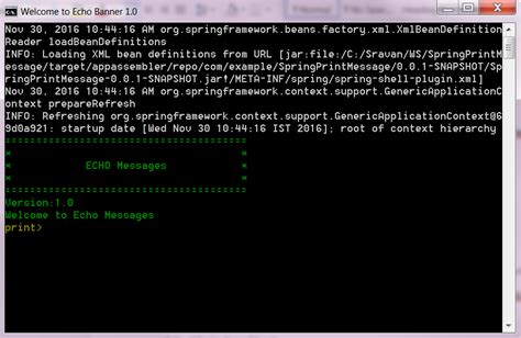 Image result for Spring Shell Java