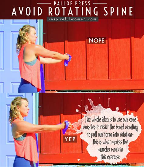 Image result for Pallof Press Anti-Rotation