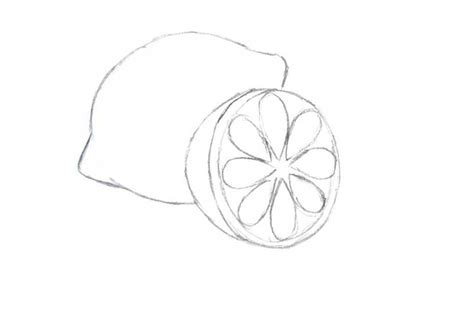 Image result for Simple Lemon Drawing