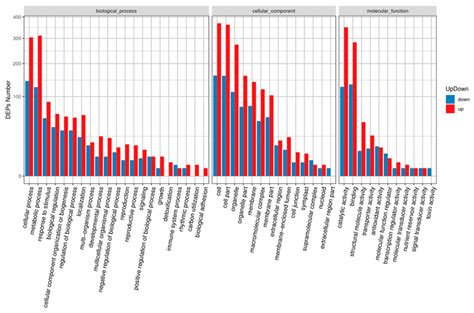 Proteomic Changes during MCMV Infection Revealed by iTRAQ Quantitative ...