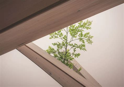 How Does the Act of Caring for a Plant Contribute to Mental Resilience? → Learn