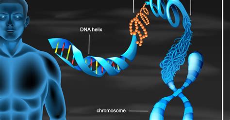 Epigenetics: The Science of Change — Teletype