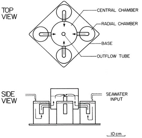 The Use of Chemical Cues by Sargassum Shrimps Latreutes fucorum and ...