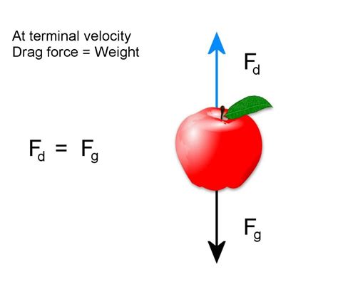 Image result for Terminal Velocity Examples