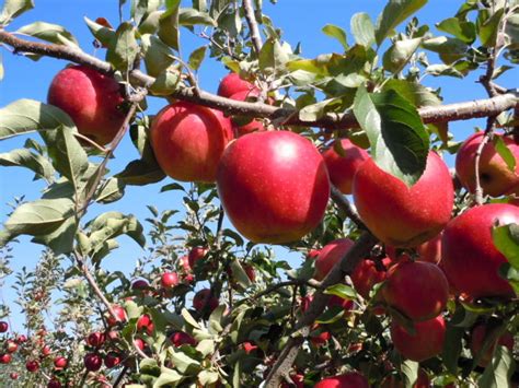 体験プログラム