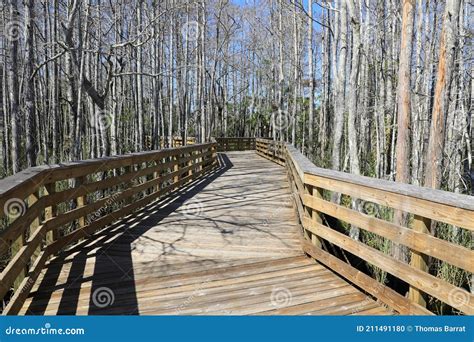Grassy Waters Preserve stock photo. Image of preserve - 211491180