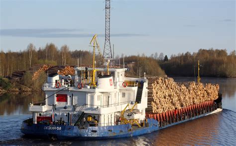 Average Speed Of A Cargo Ship: Factors, Limits, And Records From 2025