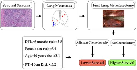 Chemosensitivity of Lung Metastatic High-Grade Synovial Sarcoma
