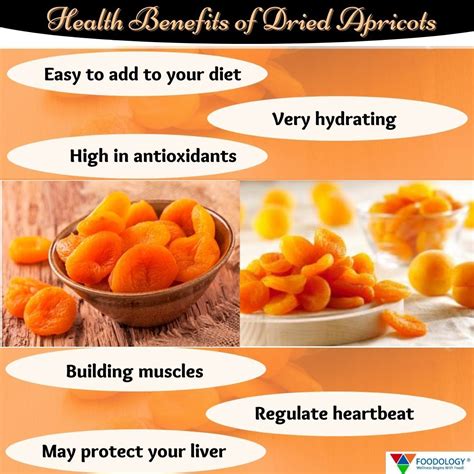 Apricot Dried Benefits - Twin Fruit