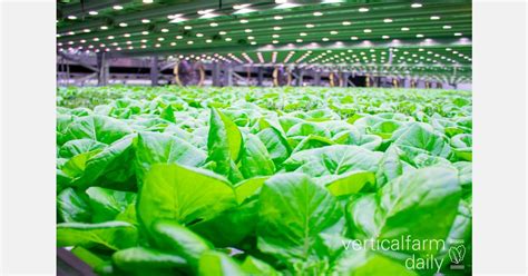 High-Tech Farming 的图像结果