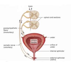 mication