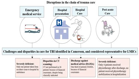 Traumatic Brain Injury in Cameroon: A Prospective Observational Study ...