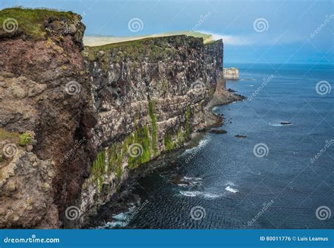Stunning Latrabjarg Bird Cliffs,, Western Fjords, Iceland Stock Photo ...