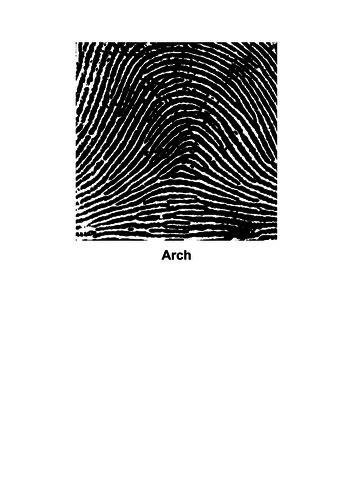 Image result for Forensic Science KS2