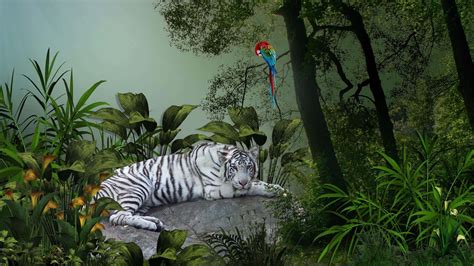 Download Tiger And Parrot In Jungle Desktop Wallpaper | Wallpapers.com