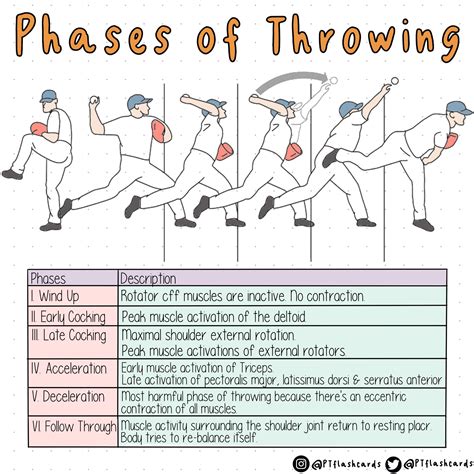 Phases Throwing Baseball