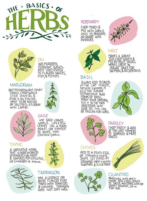 Printable Medicinal Herb Chart