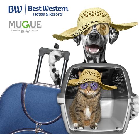 Best Western Pet Charge at Walter Paul blog
