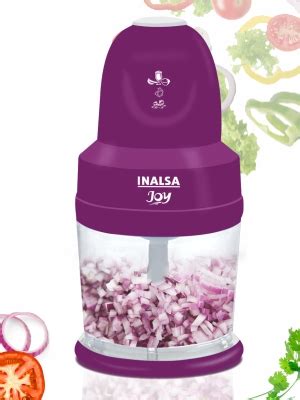 Buy Inalsa Joy-250 Watts Electric Chopper with Copper Motor, Chop ...