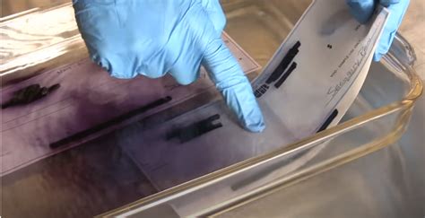 Image result for Check Washing Example