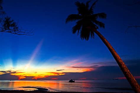 Image result for Have Beautiful DaySpring