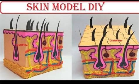 can anyone suggest me how to give or make hair in the project of skin ...