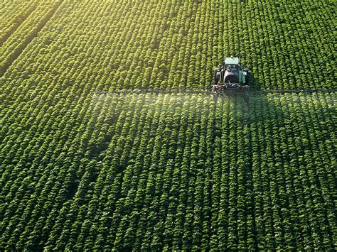 Image result for Agriculture