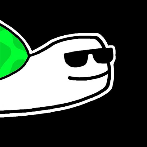 Image result for Basics Coding of Turtle