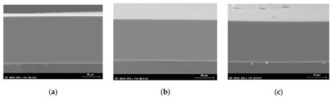Sorption/Diffusion Contributions to the Gas Permeation Properties of Bi ...