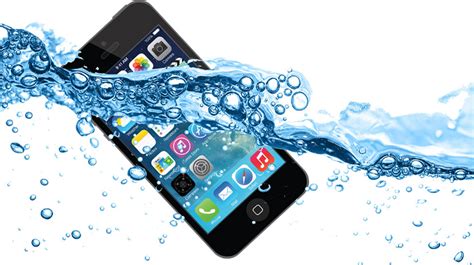 手机掉水里放大米里要多久 - 业百科