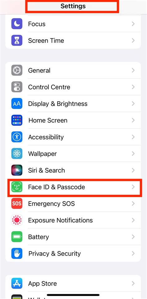Image result for iPhone Passcode Screen
