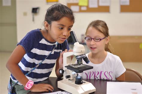 Base Of Microscope at Brandon Premo blog