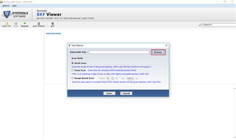 Open BKF File 的图像结果