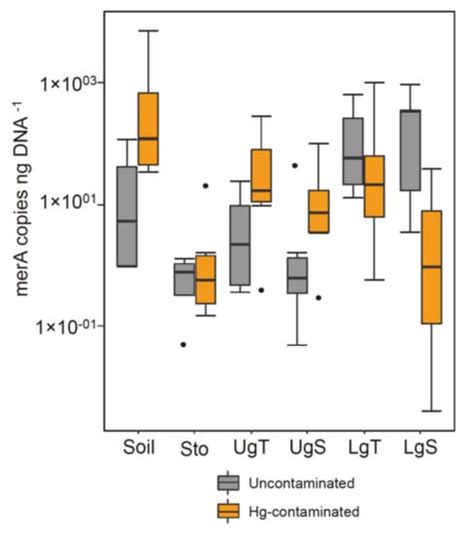 Soil Hg Contamination Impact on Earthworms’ Gut Microbiome