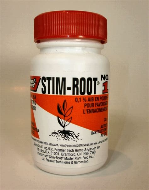 Image result for How to Use Stim Root Powder