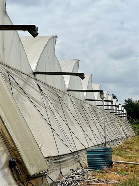 Image result for Poly House Profile Spring