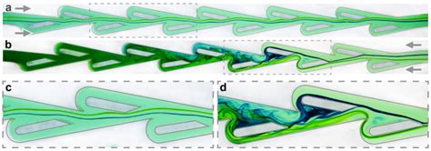 Tesla Valve Microfluidics: The Rise of Forgotten Technology