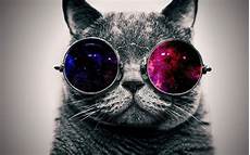 Wallpapers Cool Pictures by Hd Cool Wallpapers Wallpaper Cave Wallpapers Cool Pictures