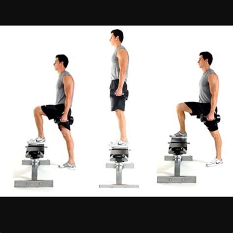 Image result for Step Bench Exercises