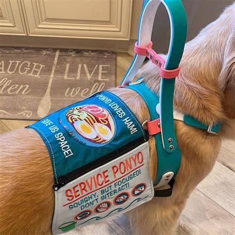 5 best service dog vests and harnesses for working dogs – Artofit