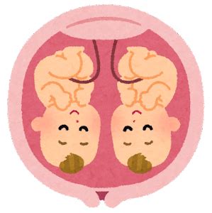 JavaScript FullCalendar 的图像结果