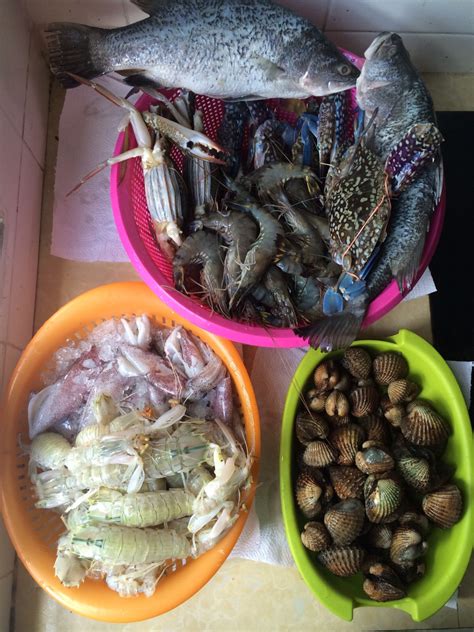 Image result for Resepi Shell Out