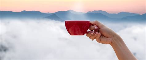 Kafa sa pogledom na poslednju granicu Hladnog rata nova turistička ...