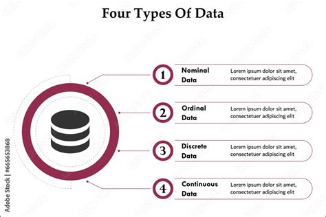 Different Types of Data 的图像结果