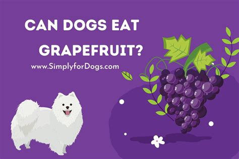 Can Dogs Eat Grapefruit