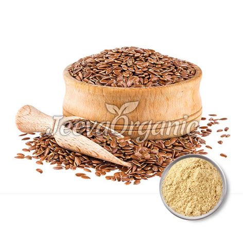 Bulk Flax Seed Powder (Linum usitatissimum) Supplier